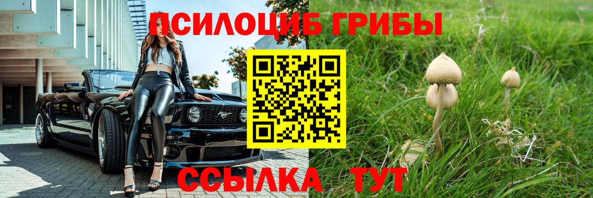 Галлюциногенные грибы Psilocybine cubensis Выборг